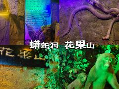 -游龙石文化科普馆