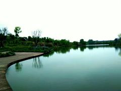 -白鹭湾湿地公园