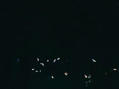 -珠海横琴长隆《卡卡虎奇遇记》