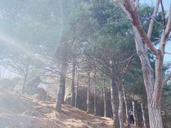 -阳台山自然风景区