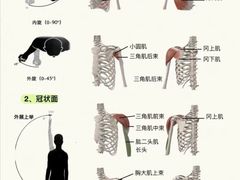 -锐动健身游泳(博地中心店)
