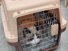-爱佳宠物中心医院24H·CT·骨外科·猫专科(瑶海万达店)