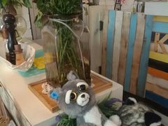 -Kitchen·Y洋厨房西餐厅(王府壹号店)