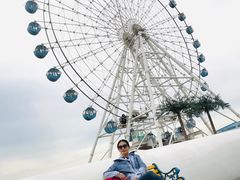 -秦皇岛乐岛海洋王国