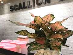 -大葱柠檬茶scallionlemontea(中山八路富力店)