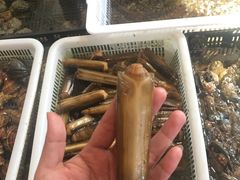 -莆鑫海鲜城(浏河店)