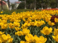 -玄武湖景区-情侣园游乐场