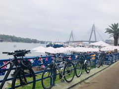 -悉尼鱼市场
