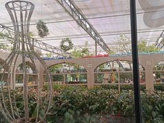 -南宫五洲植物乐园