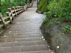 -灵岩山风景区