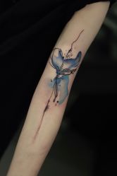 -杨卓刺青工作室·YZ STUDIO