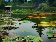 -国家植物园南园