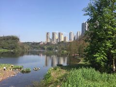 -重庆彩云湖湿地公园