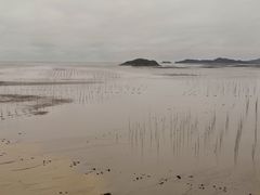 -北岐滩涂