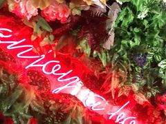 -Poke lemon海鲜波奇饭·柠檬茶(金碧开放小区店)