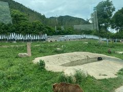 -西安秦岭野生动物园