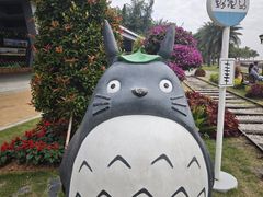 -野狸岛
