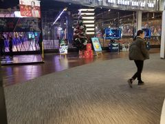 -大鲁阁保龄球(苏州园区店)