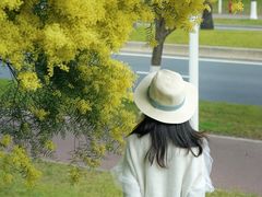 -厦门国家会计学院