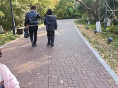 -金鸡湖桃花岛