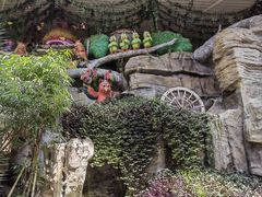 -南宫五洲植物乐园