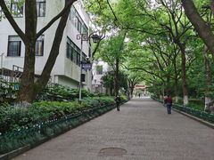 -杭州半山国家森林公园