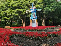 -上海共青森林公园