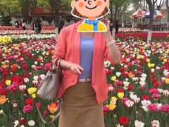 -石家庄市植物园