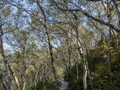 -白草畔自然风景区