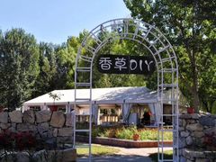 -紫海香堤香草艺术庄园