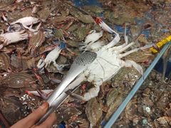 飞蟹-钱库里海鲜自助(星海广场店)