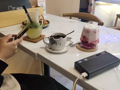 -喵园·猫主题咖啡厅·撸猫·猫咖(国贸店)