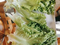 -有一锅·野生菌黑山羊腊排骨火锅(古城北门店)
