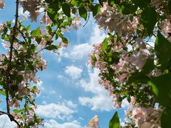 -国家植物园南园