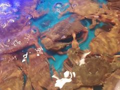 -SEA西雅图海鲜自助餐厅(海乐世界店)