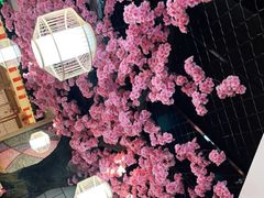 -九田家黑牛烤肉料理·自助(洪洞县城市花园店)