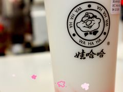 -娃哈哈·奶茶(武林店)