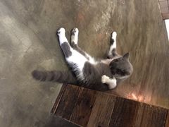 Mikaku(Mikaku万达店)-MIKAKU(万达广场上海宝山店)