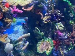 -成都浩海立方海洋公园