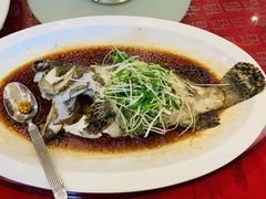 清蒸花尾龙趸斑-稻香酒家·33年老字号·港式粤菜(富邦中心店)