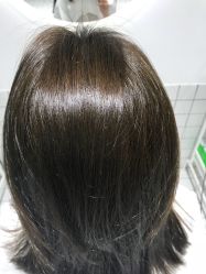 -大象造型