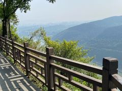 -铁山坪森林公园