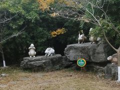 -苏州太湖国家湿地公园