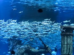 -波塞冬旅游度假区