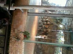 android_upload_pic-碧峰峡风景区