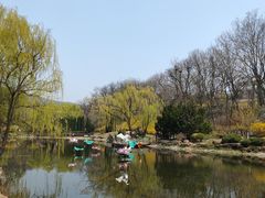 -棒棰岛宾馆景区