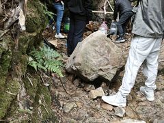 -羚羊峡古栈道森林公园