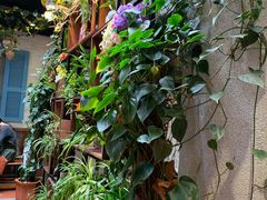 -杨小贤(五店市店)