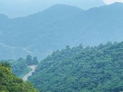 -四明山国家森林公园