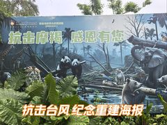 -海南热带野生动植物园